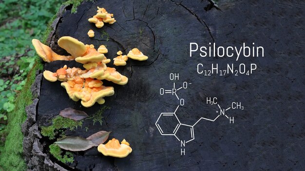 Premium Photo | Chemical formula of psilocybin on a blackboard magic ...