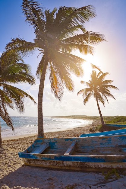 Premium Photo | Chen rio beach cozumel island in mexico