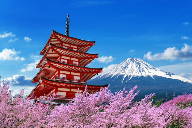 Free Photo | Cherry blossoms in spring, chureito pagoda and fuji ...