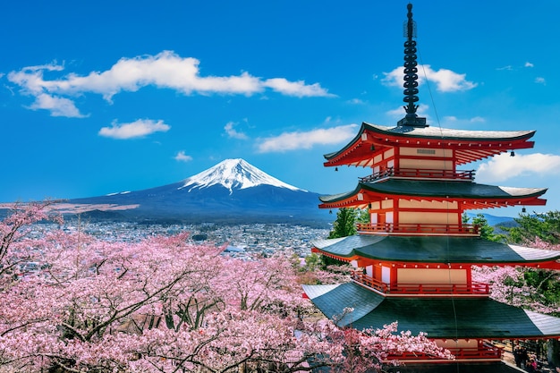 Cherry blossoms in spring, chureito pagoda and fuji mountain in japan. Free Photo