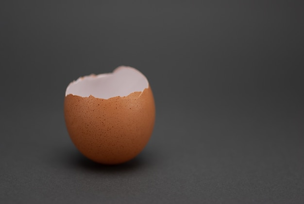 Premium Photo | Chicken egg shell