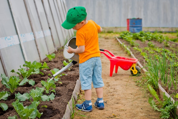 Premium Photo | Child watering the garden