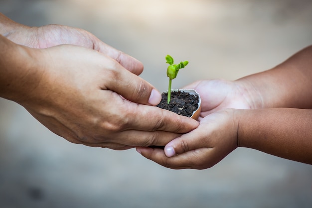 プレミアム写真 両親と子供卵の殻に一緒に地面に植物を準備するために一緒に若い樹を保持する手は 世界の概念を保存