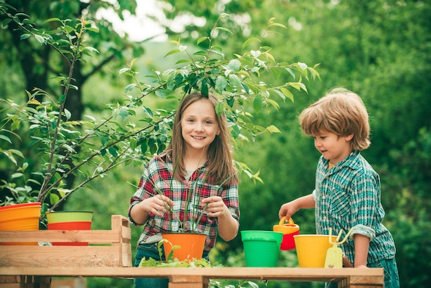 Premium Photo | Children planting flowers in pot children farmer ...