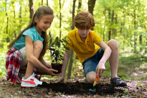 Premium Photo | Children planting together in the forest