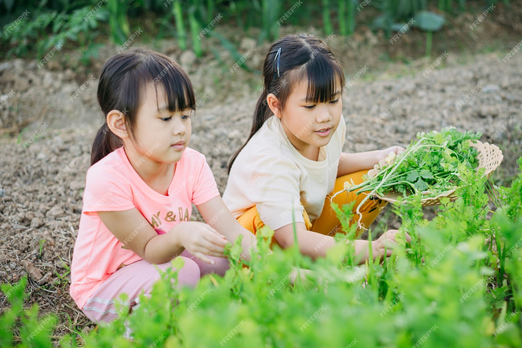 Premium Photo | Children play and exploring in the garden with thier ...