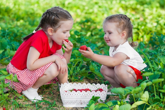 Premium Photo | Children's collection of strawberries