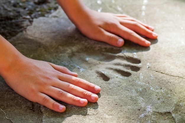 Premium Photo | Childs hand and memorable handprint in concrete