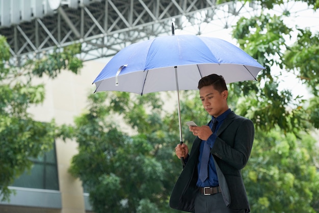 chinese rain umbrella