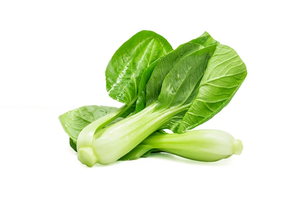 la theine cabbage