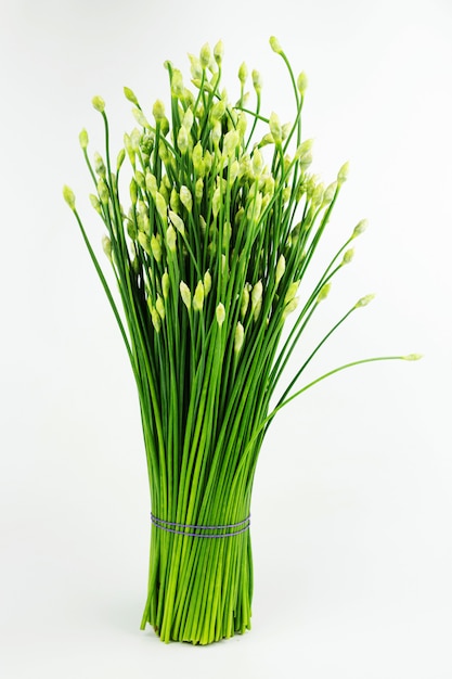 Chinese chive or chives flower isolated on white ...