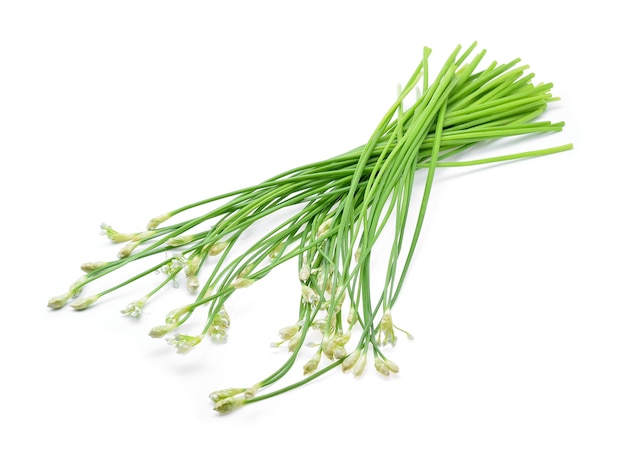 Premium Photo | Chinese chives on white background