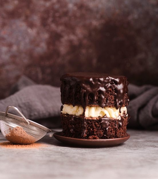 Chocolate cake with sieve and cocoa powder | Free Photo