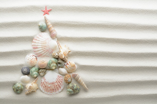 Download Premium Photo Christmas Beach Background Christmas Tree Made With Seashells PSD Mockup Templates