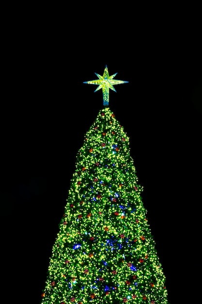 Christmas tree on black background Photo | Free Download