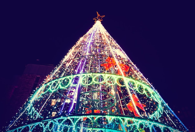 クリスマスツリーライト | プレミアム写真