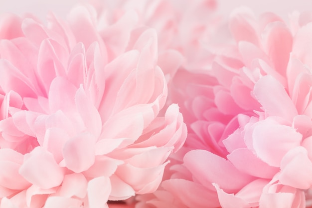 柔らかいパステルカラーの菊の花と背景のぼかしスタイル プレミアム写真