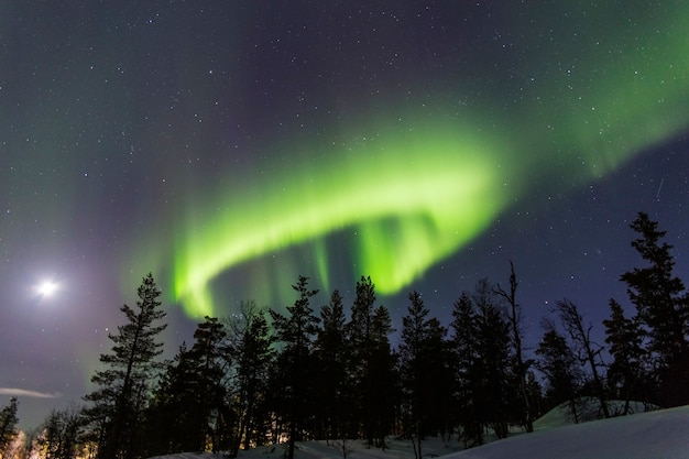 Premium Photo | Circular aurora borealis next to the moon over a forest