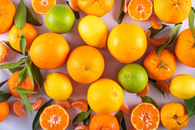 Free Photo | Citrus fruits surface top view fresh citrus fruits with leaves