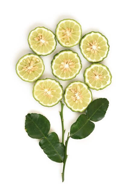 Premium Photo Citrus Hystrix Or Kaffir Lime Fruits And Green Leaves