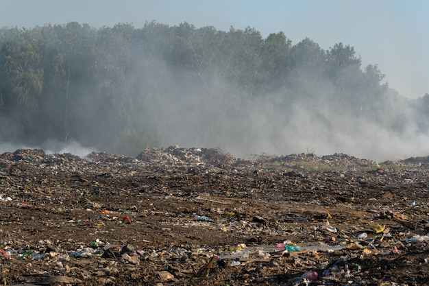 City dump with different garbage burns on a sunny summer day Premium Photo