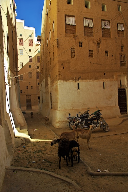  pequeñas curiosidades  - Página 33 City-medieval-skyscrapers-shibam-wadi-hadramaut-yemen_134785-3442