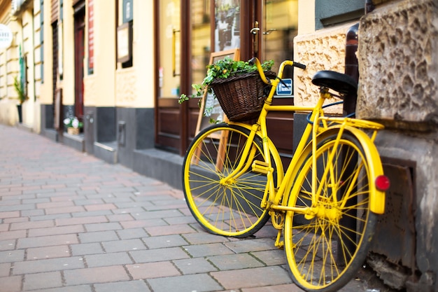 古い居心地の良いヨーロッパの都市の街並み 古い自転車の植木鉢 プレミアム写真