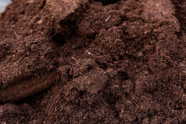 Premium Photo | Clean soil for cultivation.