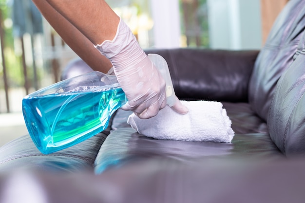 Premium Photo Cleaning Leather Sofa, How To Clean Leather Sofa At Home