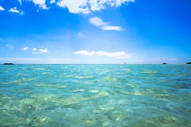 Premium Photo | Clear transparent waters in the philippine islands