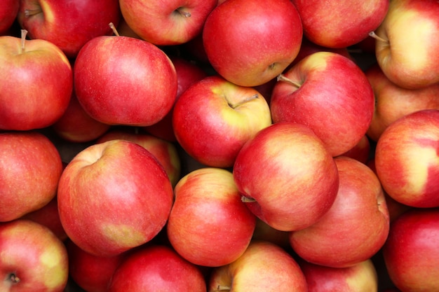 Close-up apple, red apple fruit. Premium Photo