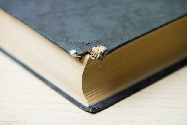 Free Photo | Close-up of damaged book