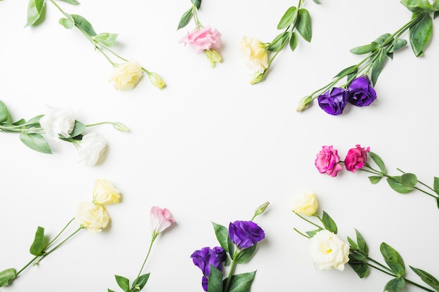 Free Photo Close Up Of Different Types Of Flowers On White Background