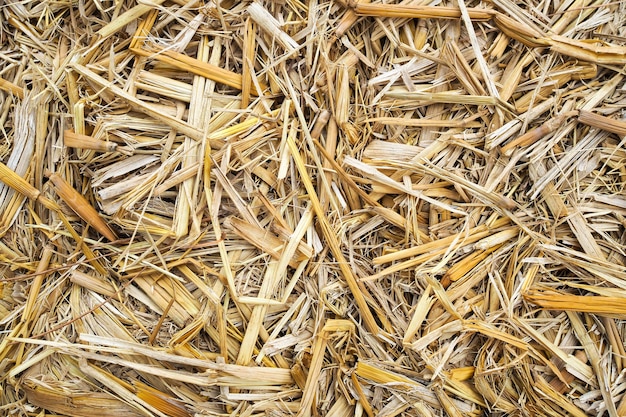 Premium Photo | Close up of dry straw texture nature background