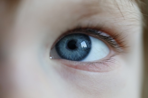 Premium Photo | Close-up eyes cheerful child, small look at world