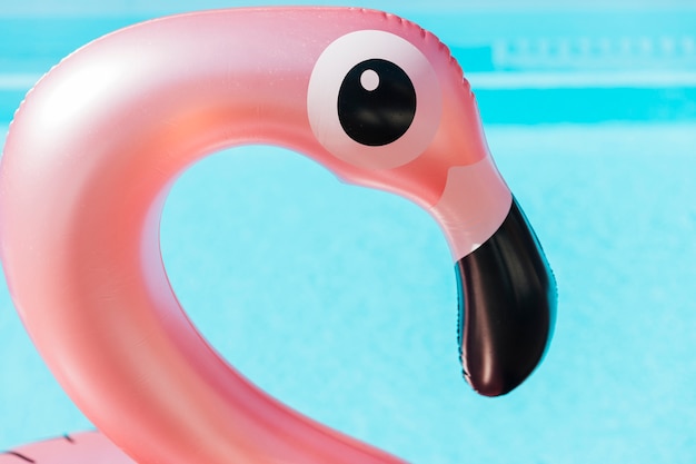 flamingo swim ring