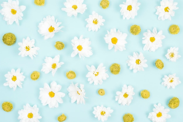 Free Photo | Close-up of flower pattern on blue backdrop