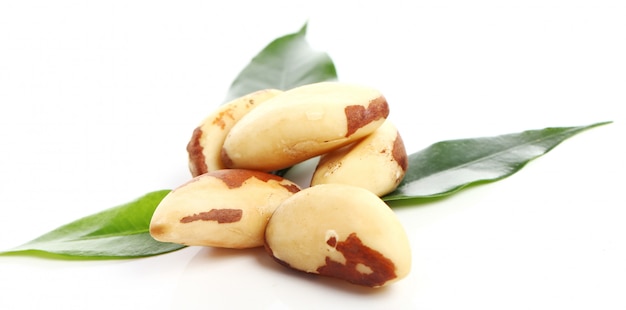 Close up of fresh brazil nuts Free Photo