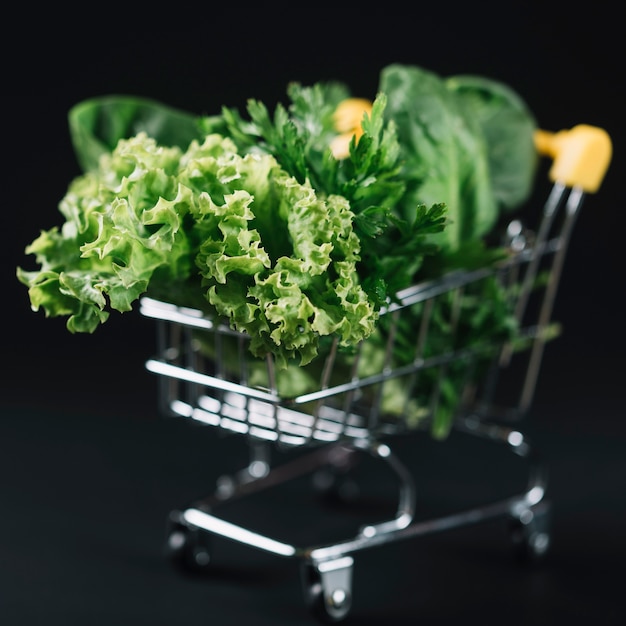 Close-up of green leafy vegetables in shopping cart over black backdrop Free Photo