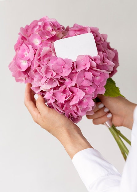 ピンクのアジサイの花束を持って手を閉じる 無料の写真
