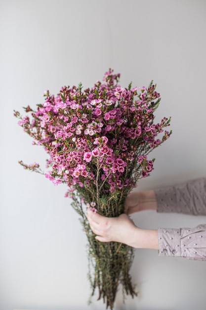 ピンクのワックスフラワーのクローズアップ大美しい花束 花の背景と壁紙 花屋のコンセプト 美しいフレッシュカットブーケ 花の配達 プレミアム写真