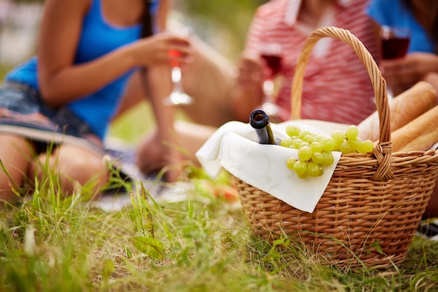 vredes picknick