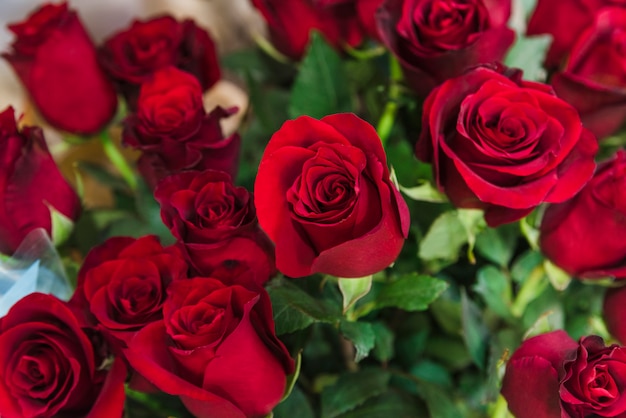 Розы Букет Красивый Фото Скачать Бесплатно