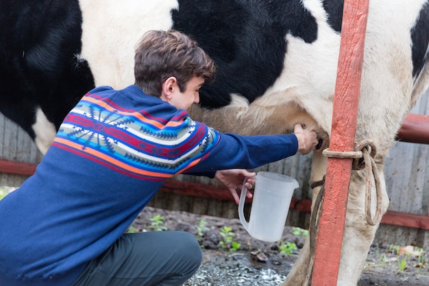 Close-up of happy guy milking a dairy cow Photo | Free Download