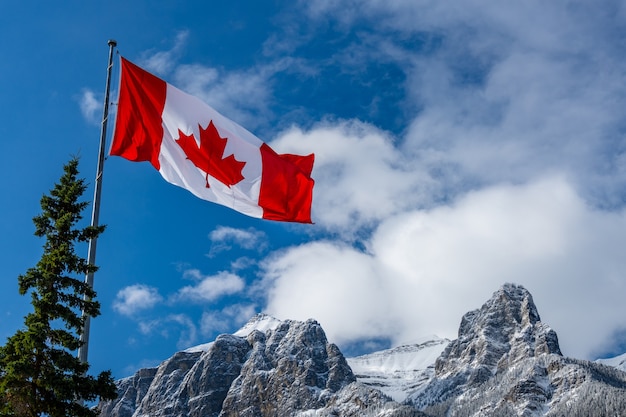 自然の山や木々の風景を背景にカナダの国旗のクローズアップ プレミアム写真
