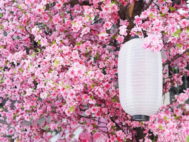 Premium Photo Close Up Paper Lantern Hanging Under The Roof In Garden With Pink Sakura Flowers Chinese New Year Decoration Park - Habitat Cherry Blossom Decorative Wall Light