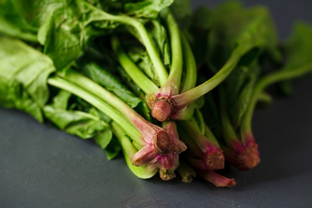 Free Photo | Close-up photo of cuted spinach roots