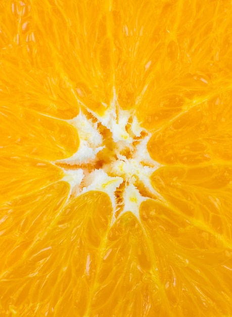 Premium Photo | Close up photo of orange on white background. oranges ...