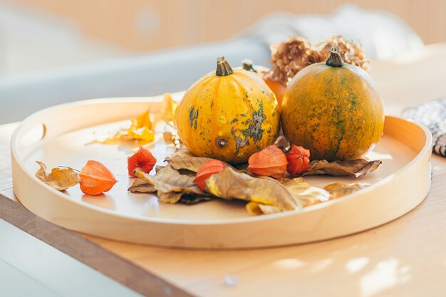 Download Premium Photo Close Up Of A Plastic Tray With Autumn Leaves And Pumpkins