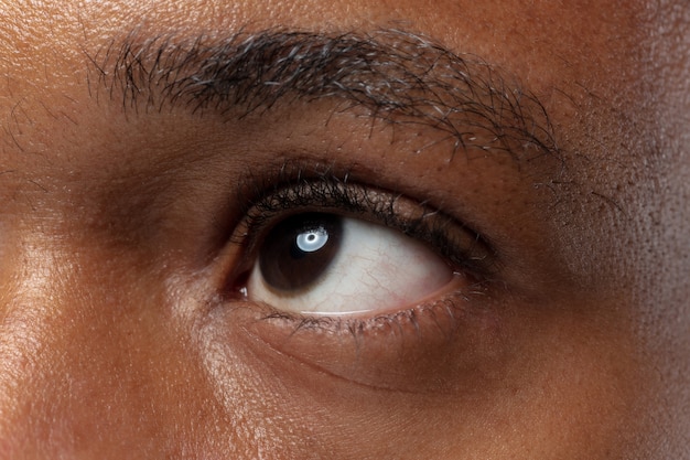 Free Photo Close Up Portrait Of Young African American Man On Blue